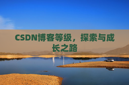CSDN博客等级,探索与成长之路